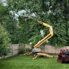 Best Tree Trimming and Pruning  in Jersey Village, TX